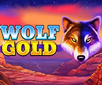 Wolf Gold img